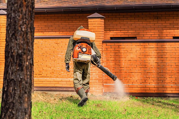 Trusted Rodent Control service in Browntown, PA - Nex Pest Control